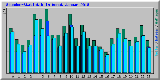 Stunden-Statistik im Monat Januar 2018