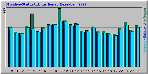 Stunden-Statistik im Monat Dezember 2020