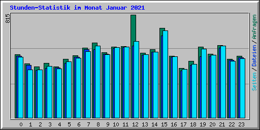 Stunden-Statistik im Monat Januar 2021