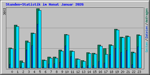 Stunden-Statistik im Monat Januar 2026