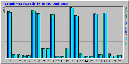 Stunden-Statistik im Monat Juni 2025